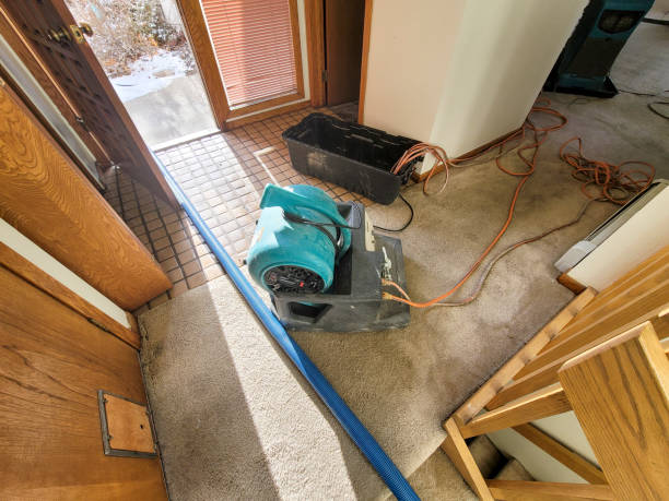 Best 24/7 water damage repair  in Tulsa, OK