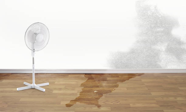 Best Flood damage cleanup  in Tulsa, OK