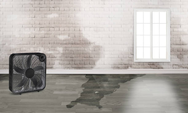 Best Emergency water damage restoration  in Tulsa, OK