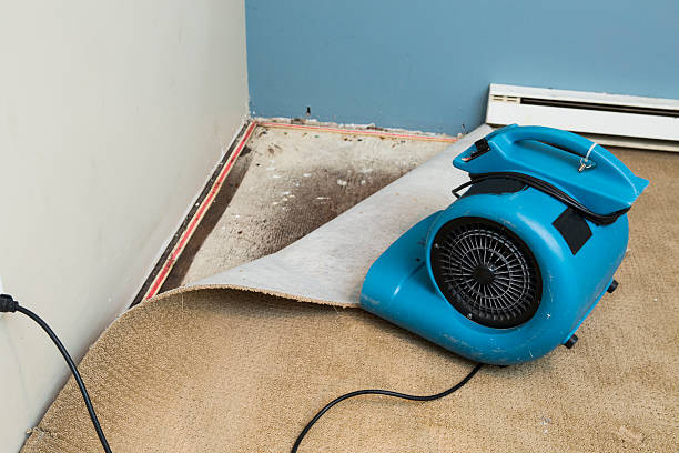 Best Professional water damage repair  in Tulsa, OK